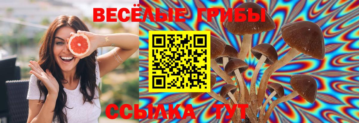 Псилоцибиновые грибы Psilocybine cubensis  Вход с VPN  Муравленко 