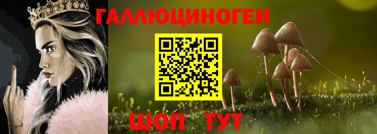Псилоцибиновые грибы GOLDEN TEACHER Муравленко